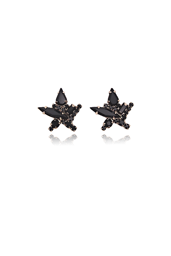 A standalone image of a pair of black star-shaped stud earrings, each intricately adorned with multiple black gemstones. The earrings are displayed symmetrically on a black background with reflections below.