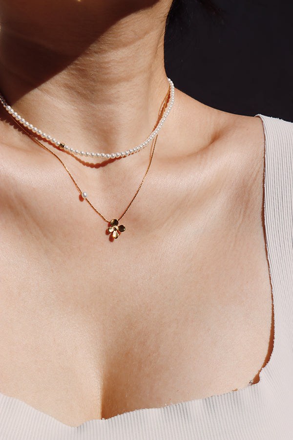 Soft Shine Bloom Set