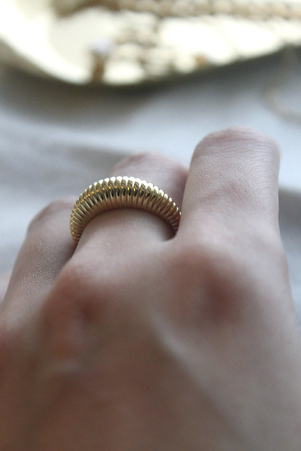 Two tone ribber gold ring on middle finger from SH & Co. Jewelry