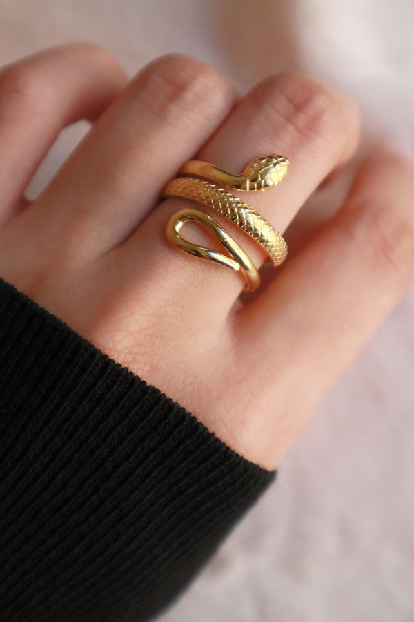 Fashion blogger shows ins trend gold ring to camera